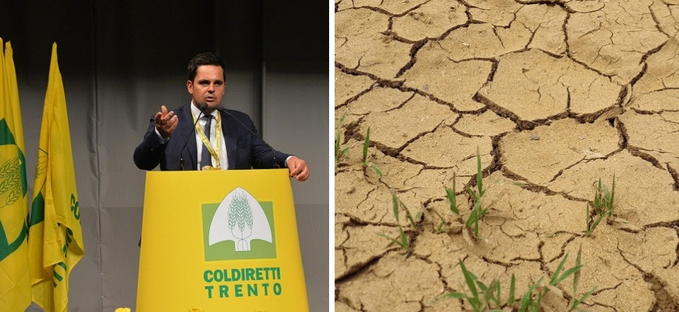 “Il caldo torrido sta bruciando la frutta sugli alberi”, l’allarme di Coldiretti